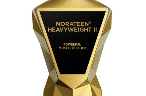 Norateen Heavyweight II Review